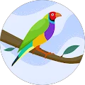 Lara R. Avatar