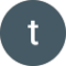 terry H. Avatar